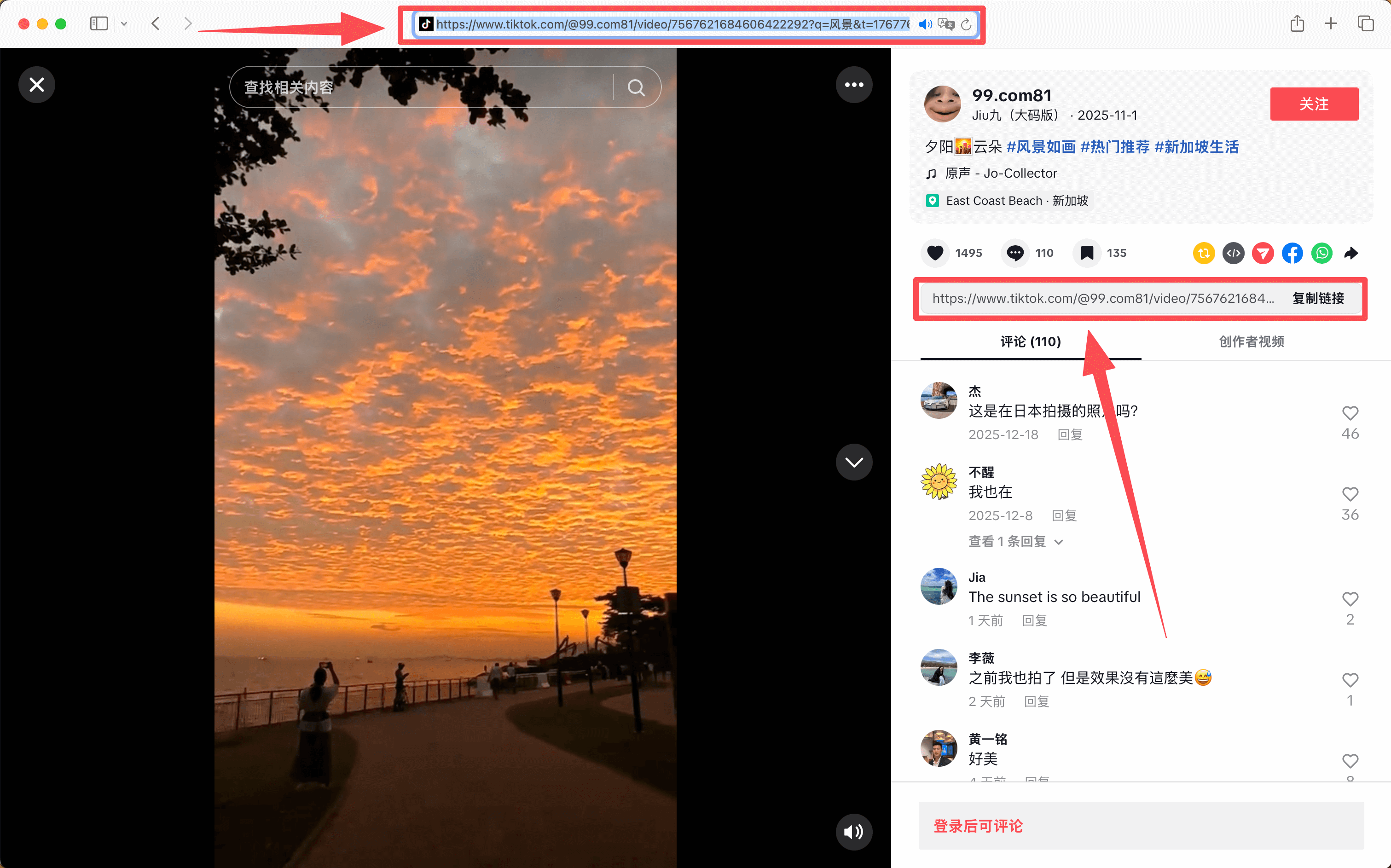 TikTok MP3 音声ダウンロードTikTok共有リンクをコピー 2